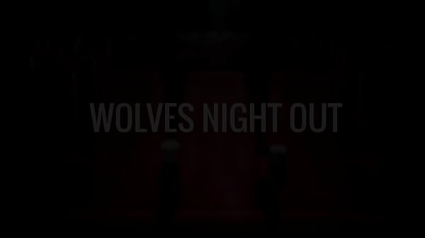 Noite entre Lobos