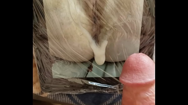 Cum Tribute 1