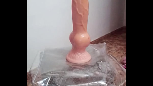 Mi culo quiere polla
